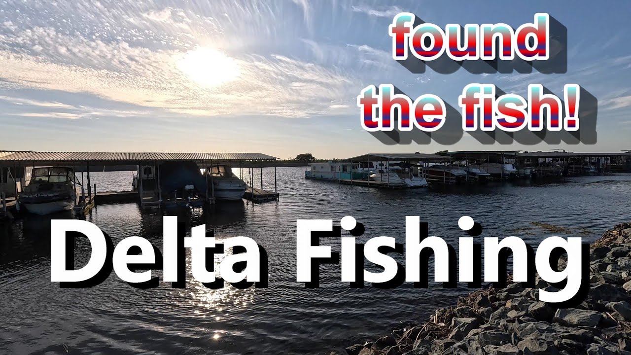 Bank Fishing the Delta! 8 Mile Road! Non-Stop Action!