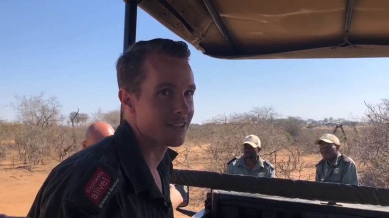 Elephants and Bees Project  - Elephants Alive and Jabulani