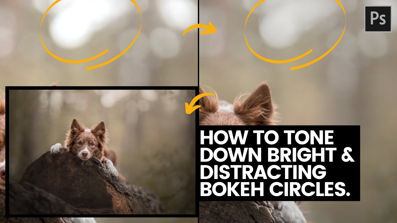 HOW TO TONE DOWN Bright and Distracting Bokeh in Portrait Backgrounds