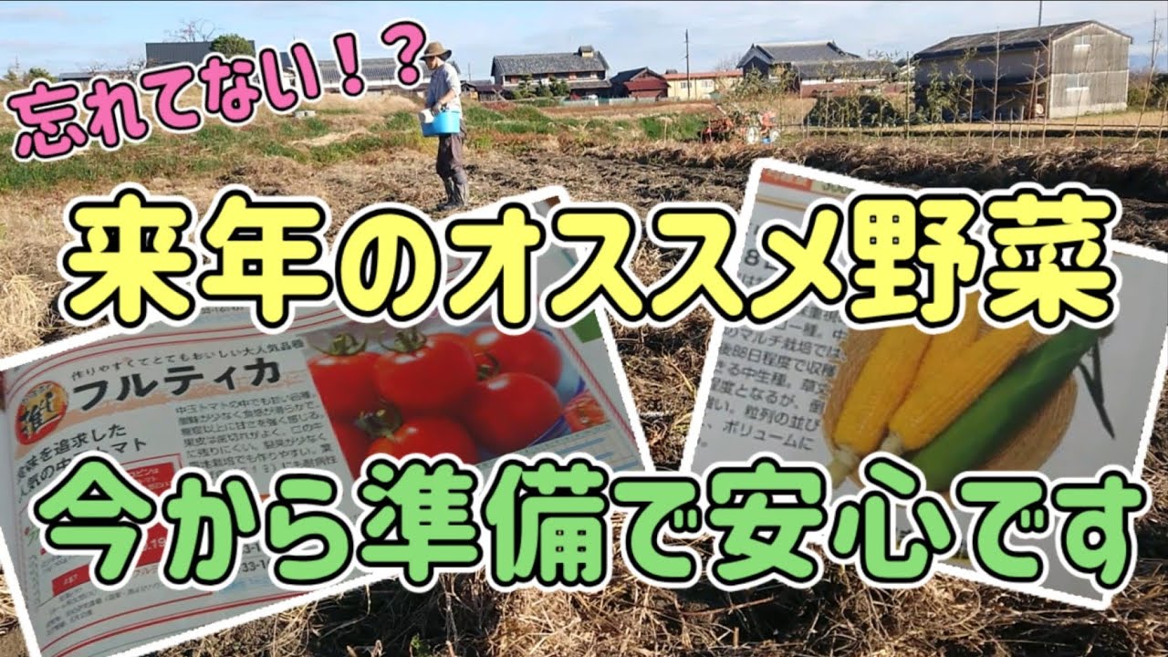 来年のおすすめ野菜、早めの購入で安心です♪♪