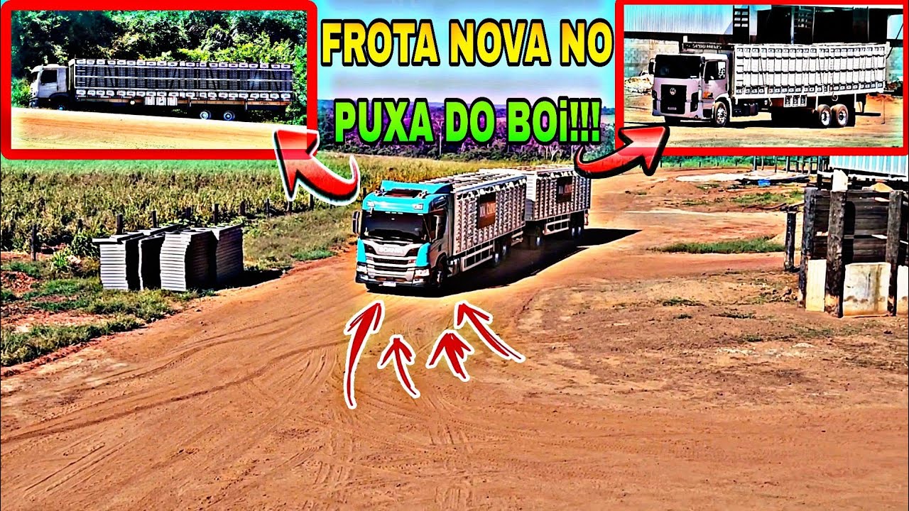 CONFINAMENTO AMERICANO,A NOVA FROTA JA CHEGOU...071/24
