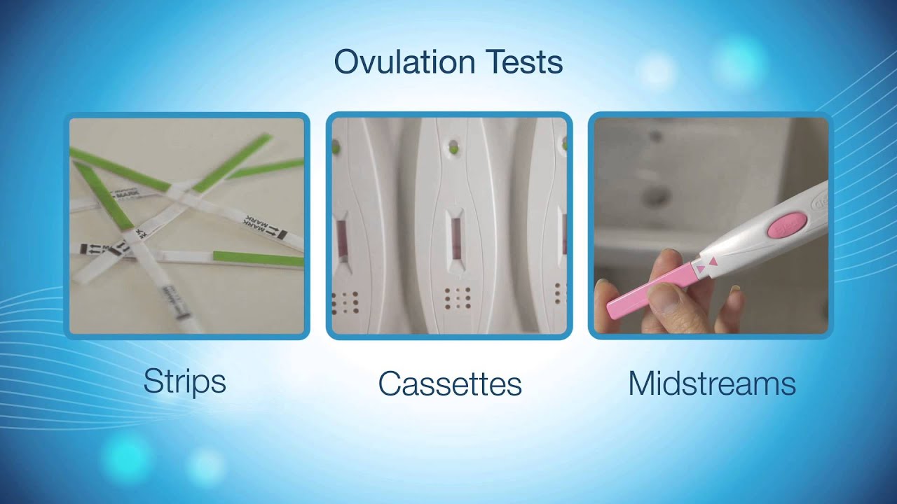 Find out how to accurately predict your fertile days