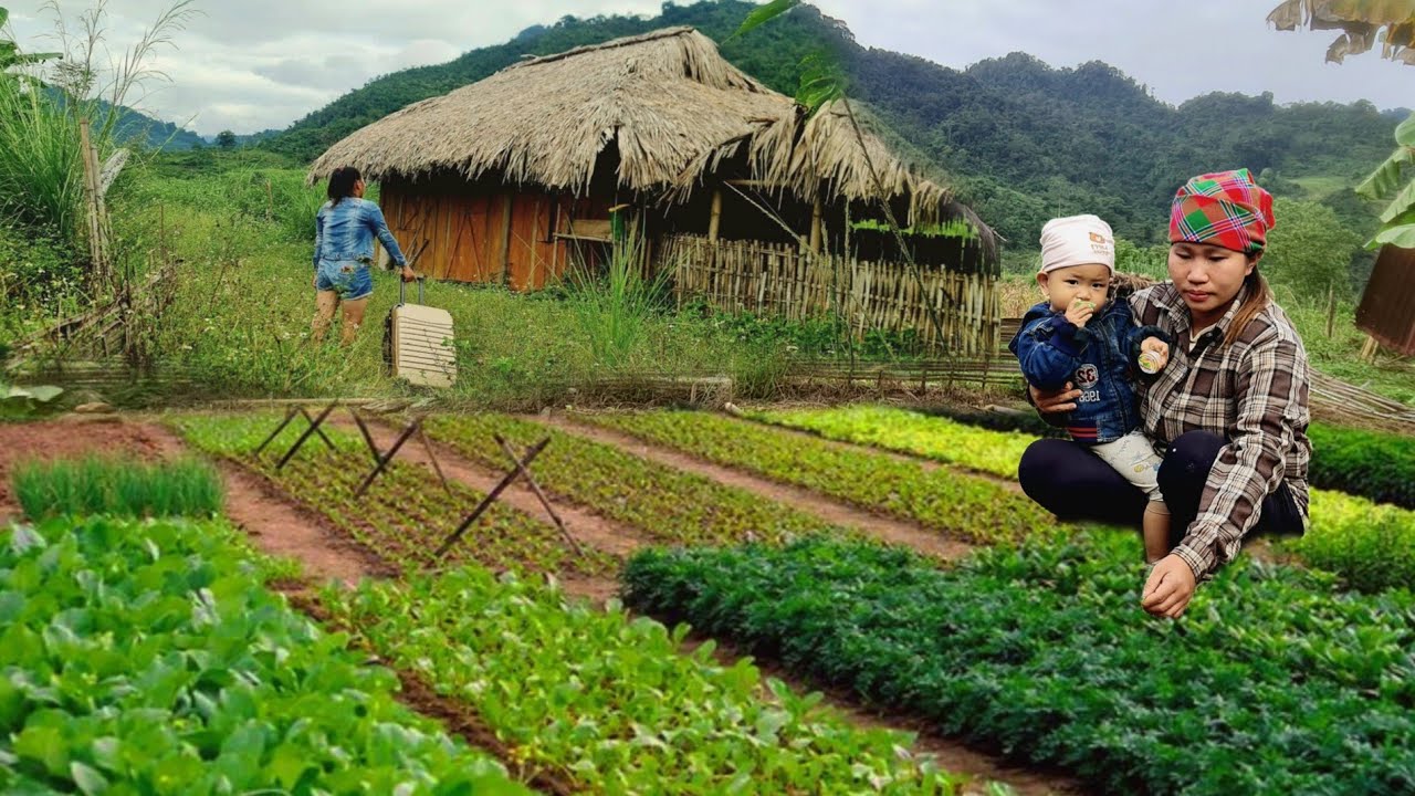 CEO leaves the city for the forest: Renovates the old house, grows vegetables with an orphan