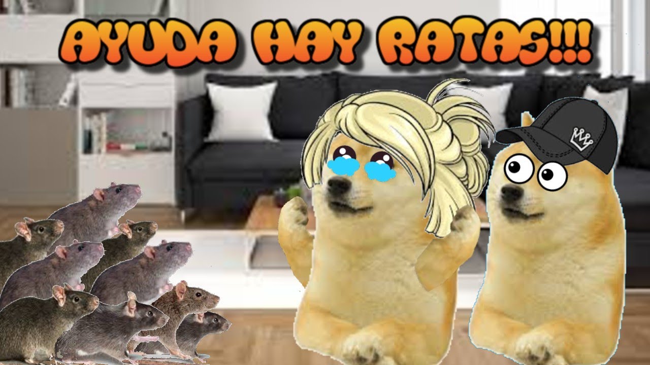 Abro hilo/LLENE la CASA de una KAREN con RATAS 🐭🐁 😅 por ACCIDENTE - |hilos con cheems| - |cheems|