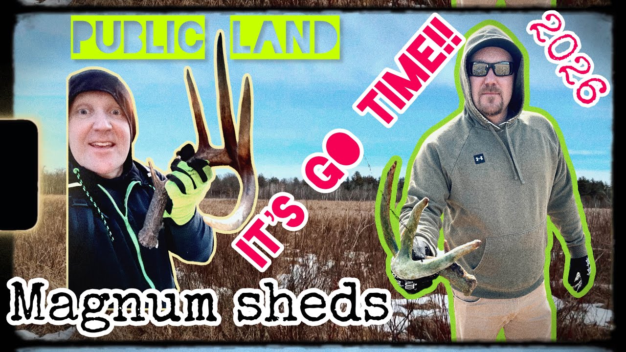 SHED ACTION PUBLIC LAND MN!! @itsgotime 
