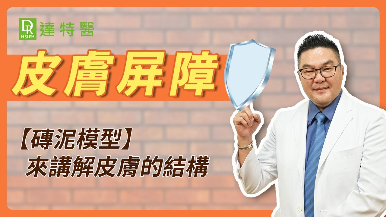 臉部皮膚屏障受損如何修護？神經醯胺 ( ceramide ) 讓皮膚保濕持續一天不乾荒!｜Dr.Hsieh達特醫