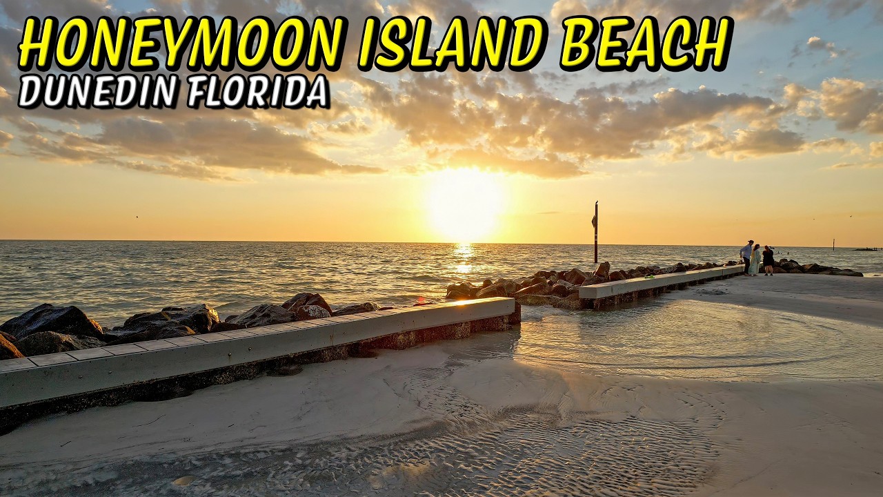 Honeymoon Island Beach Is HIDDEN Gem