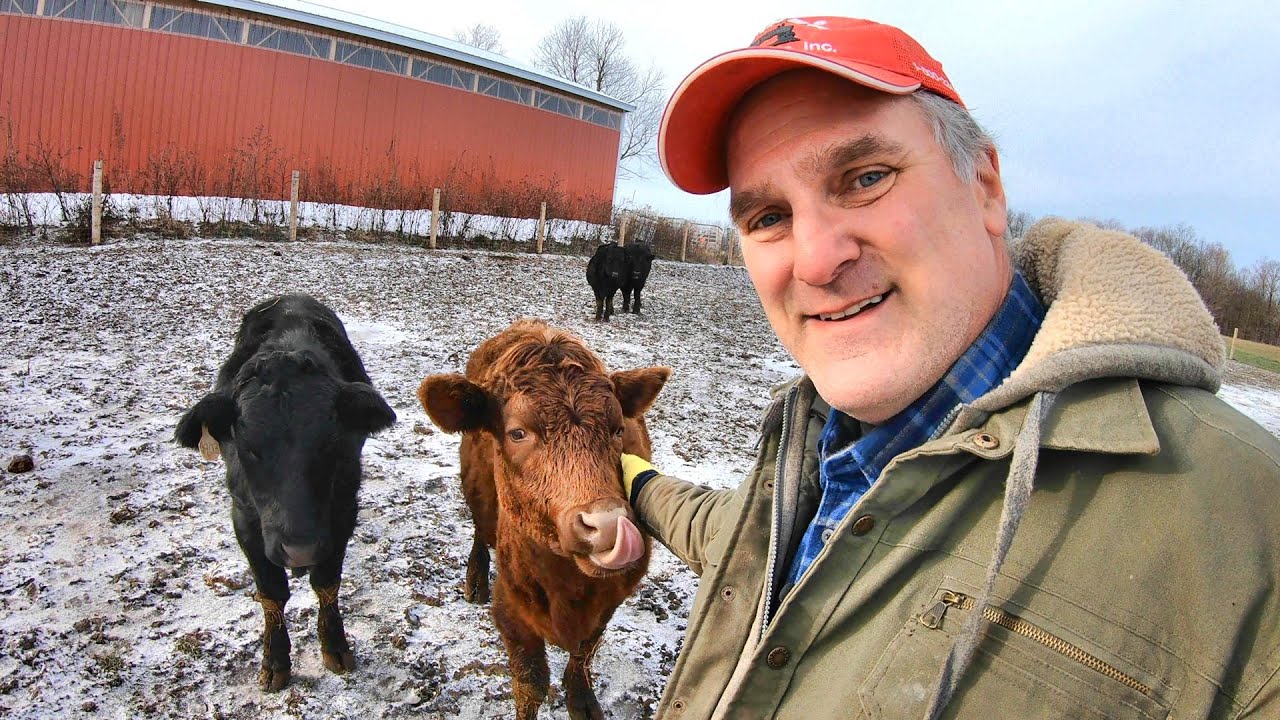 Winter on a Small Farm