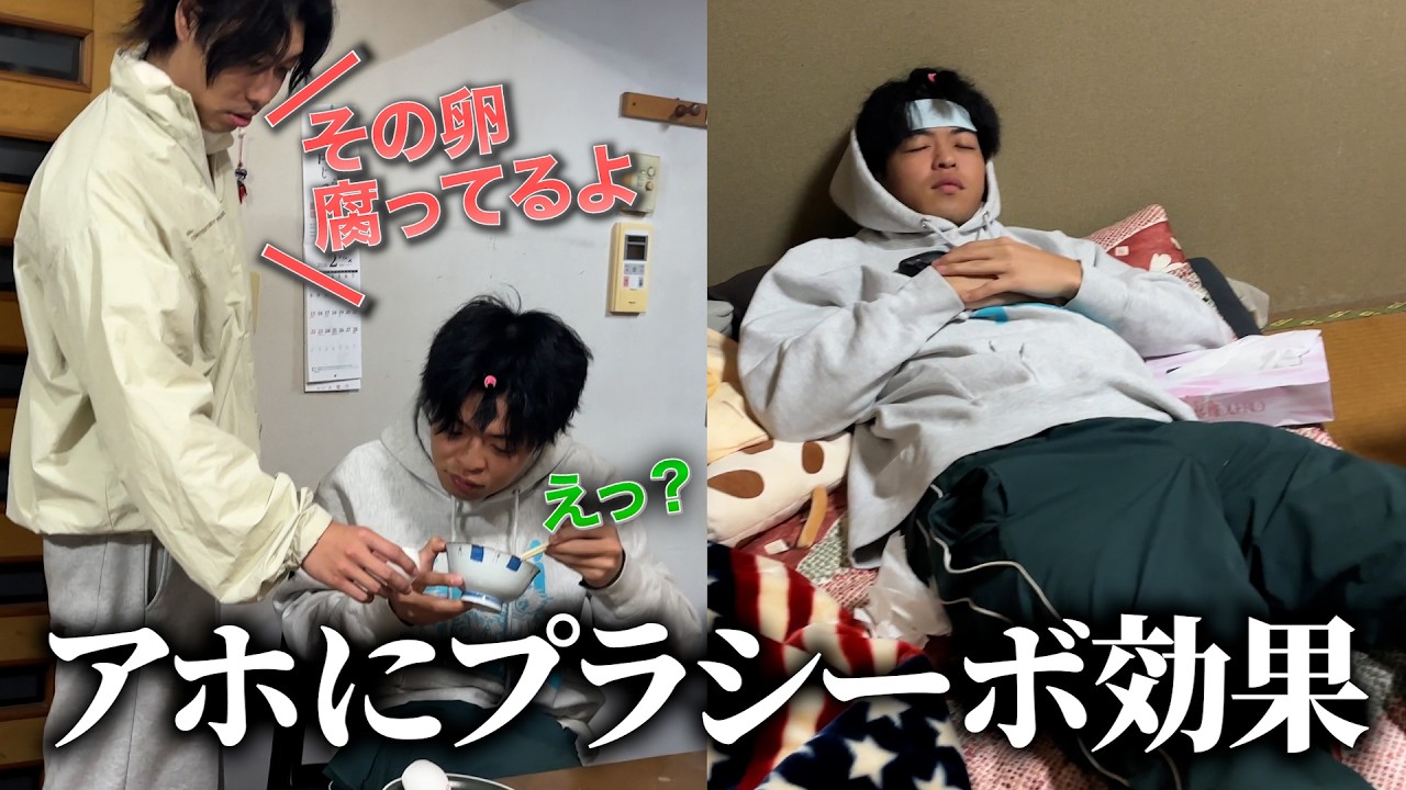 【洗脳】新鮮な卵を腐ってると言いまくったらアホが気絶したwwww