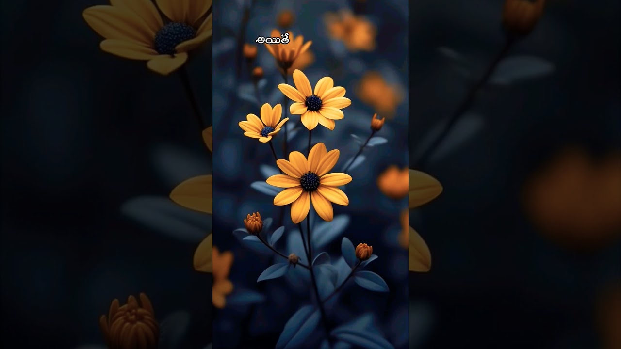 The Sun of Righteousness shall arise 