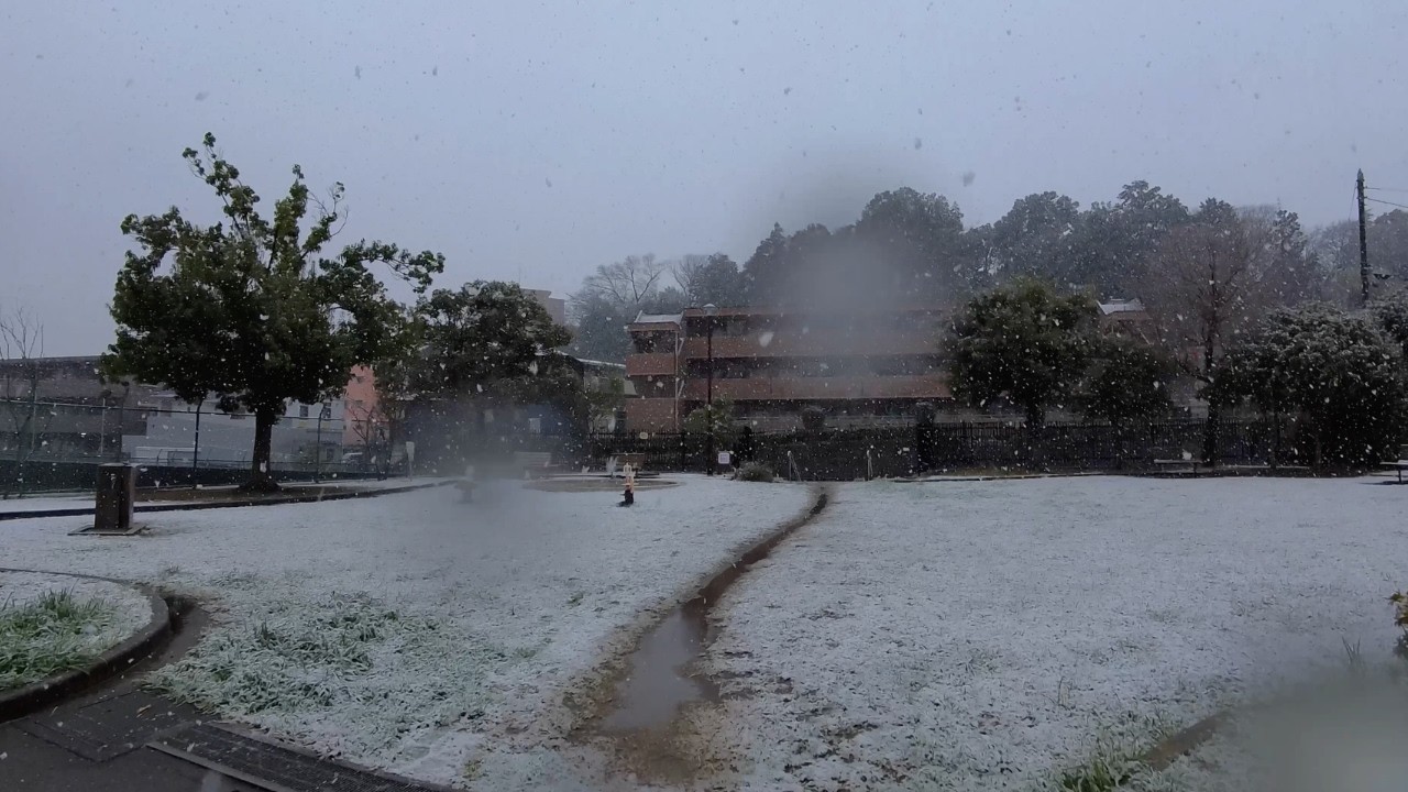 Snowfall Morning Walk in Tokyo Japan | Relaxing Winter Street Ambience 東京の雪の朝散歩