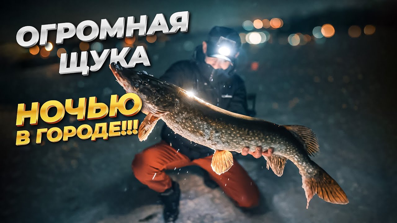 МОНСТРЫ КЛЮЮТ НОЧЬЮ!!! / предновогодняя рыбалка близ города, река Саркырама