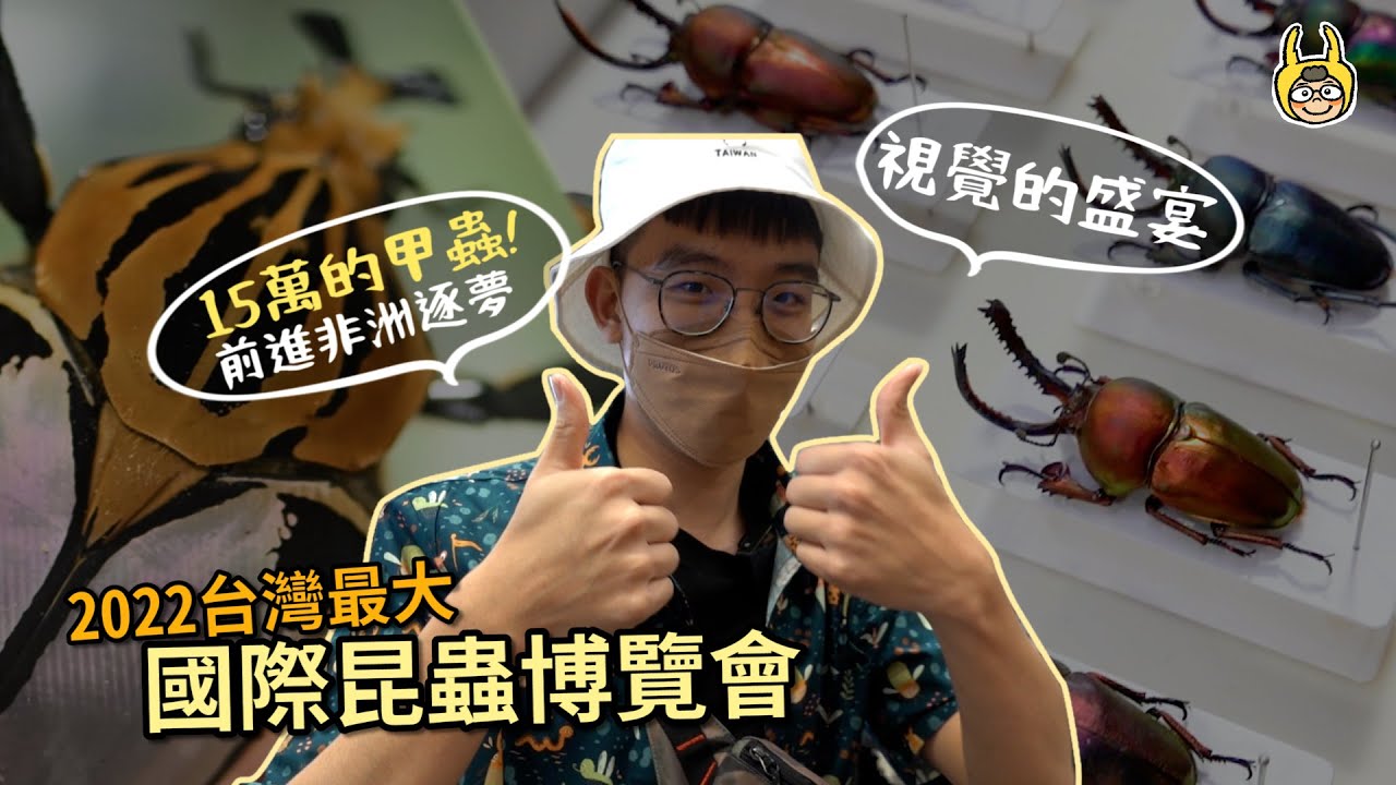 台灣史上最大昆蟲展！長戟大兜蟲大軍、印尼金鍬調色盤、15萬元的感動-銀背大角！揚名國際飼養技術