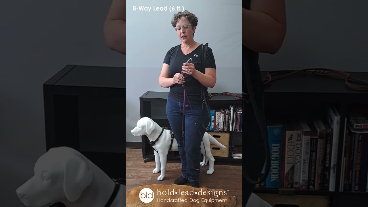 8 Way and 8x8 Lead by Bold Lead Designs