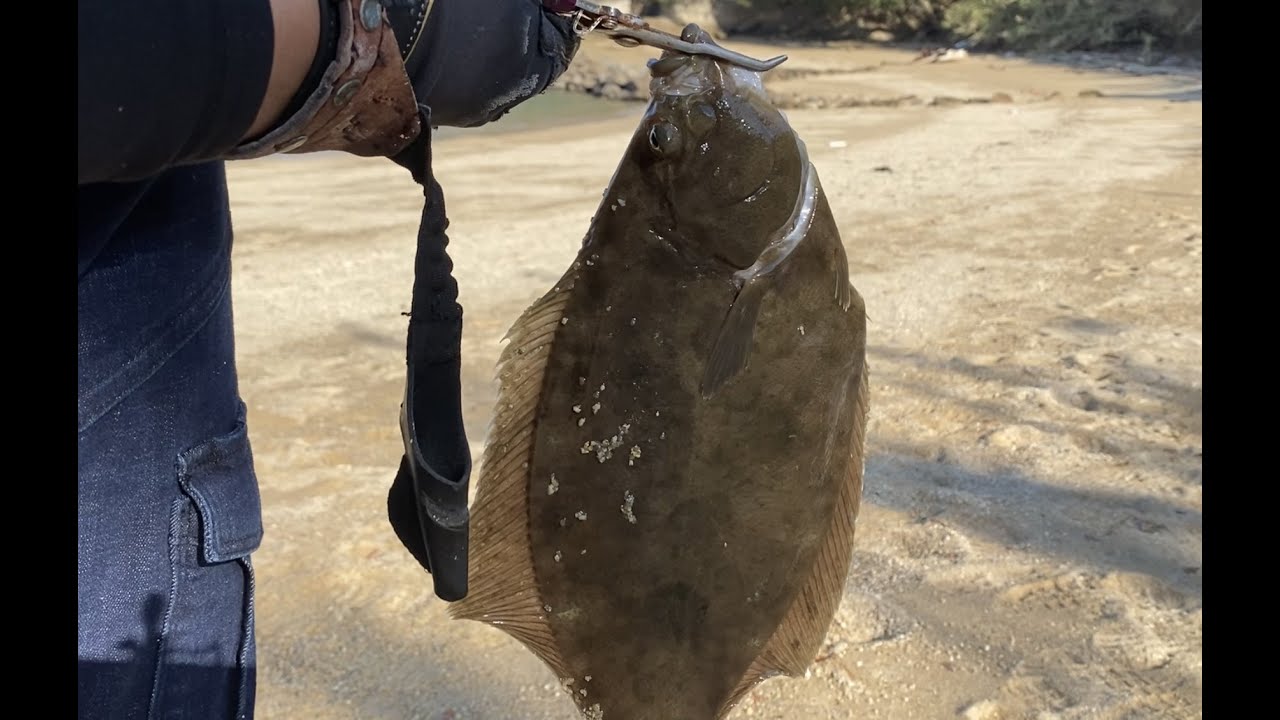 【投げ釣り】カレイの聖地へ  【広島県】冬の投げ釣り