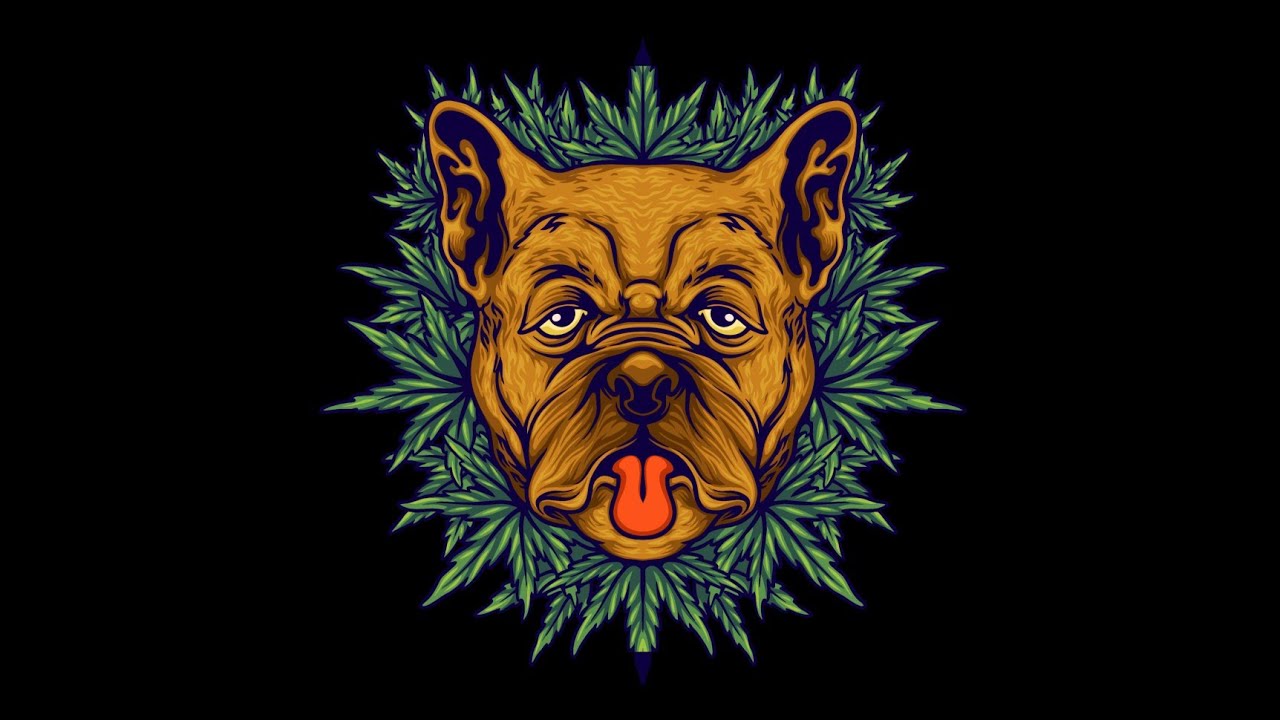 [FREE] Diss Track Type Beat - 