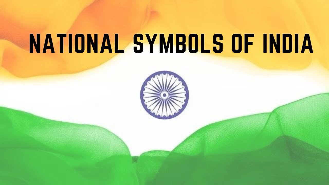 National Symbols of India | Small Hub | Tricolor Flag | Nations Pride | Independence