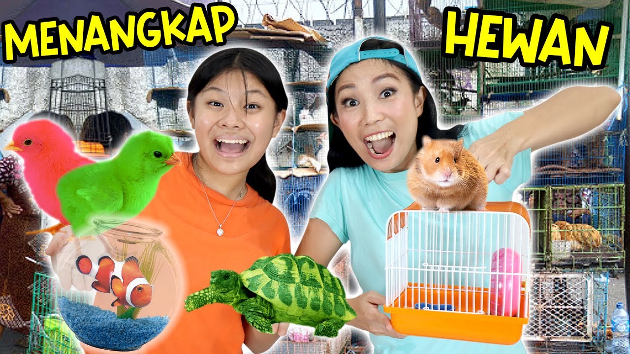 BORONG & MENANGKAP HEWAN LUCU ! AYAM & IKAN WARNA WARNI,KURA-KURA, HAMSTER ! CnX Adventurers