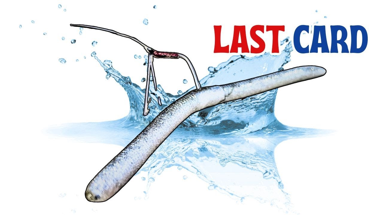 It’s Not a Senko Copy – How Japanese Anglers Fish the Flick Shake