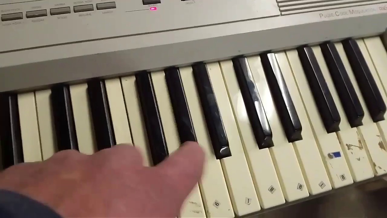 Hohner PSK50 working.