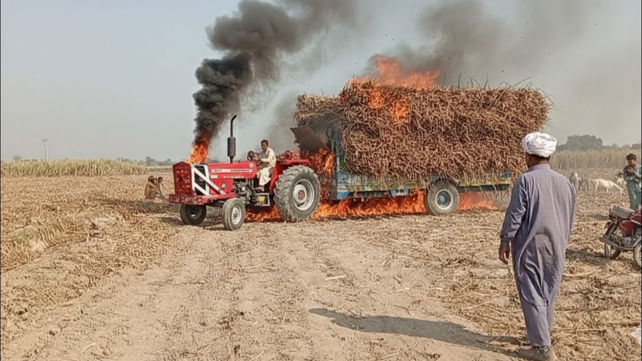One man smoking on full sagur can loaded trolley fire and  385 tractor salunsir somke on salunsir 🤯🚭