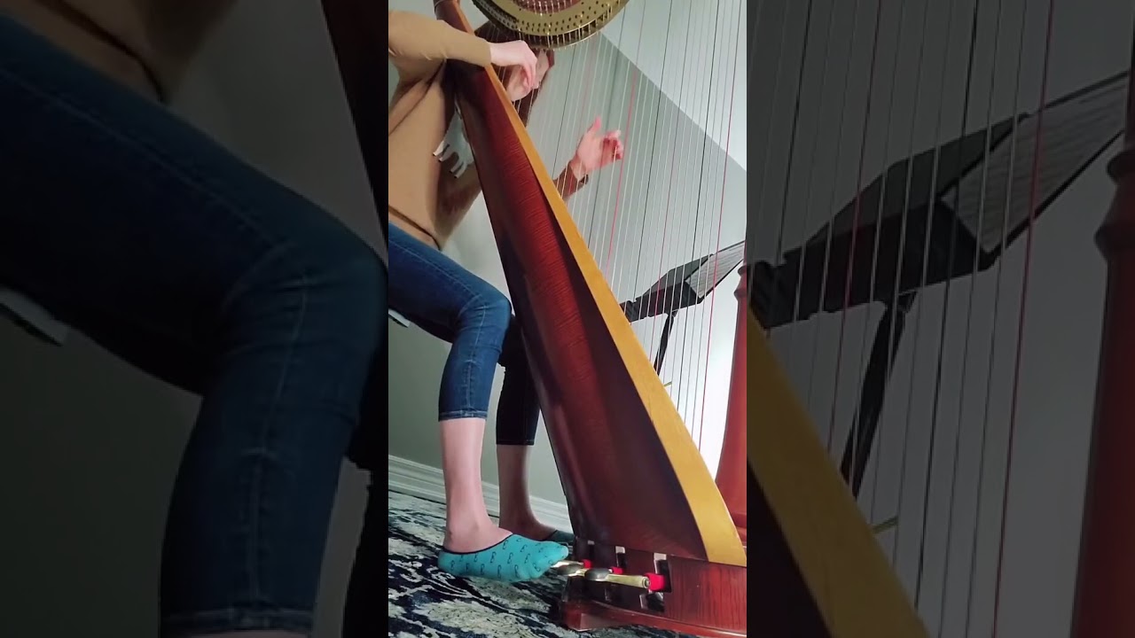 The Entertainer