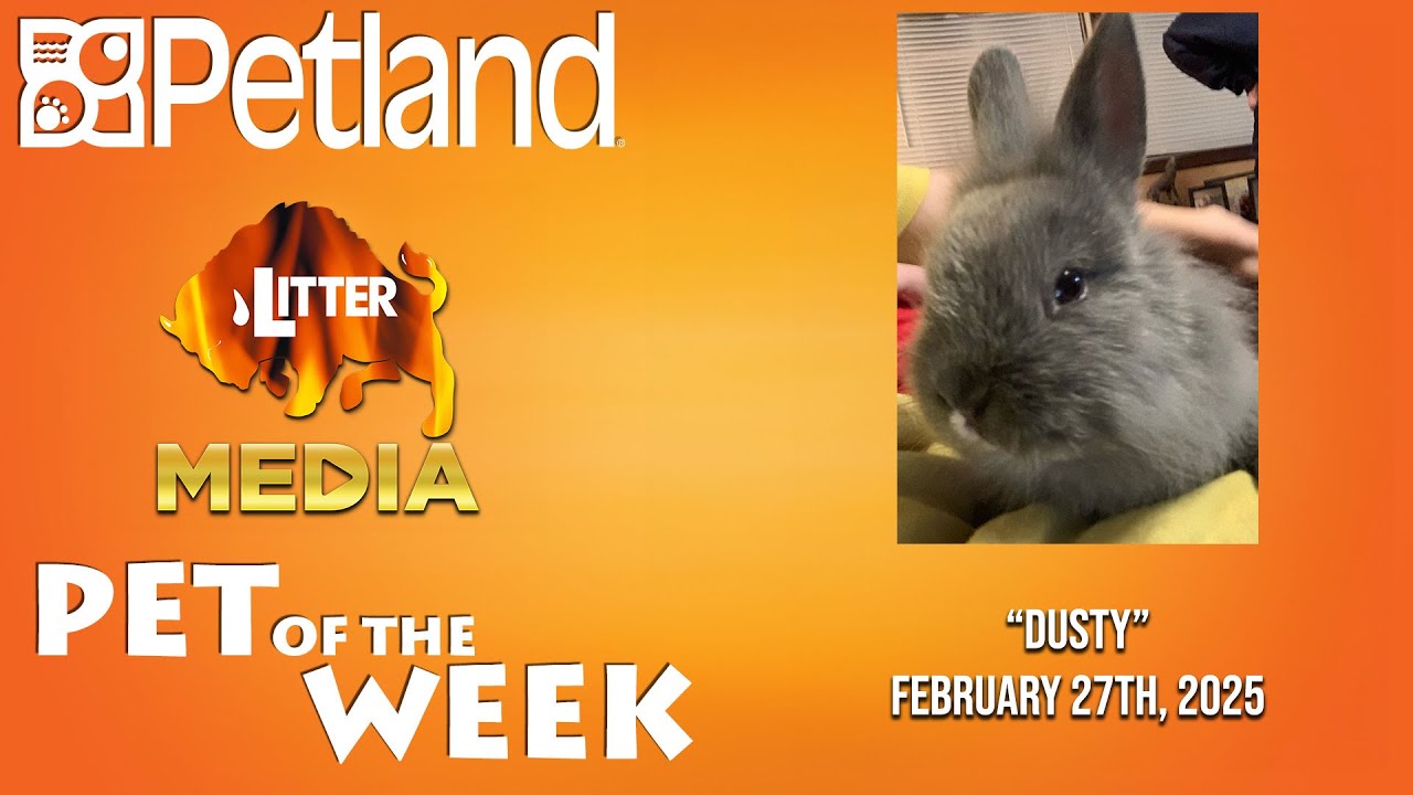 Petland-Litter Media Pets of the Week: 