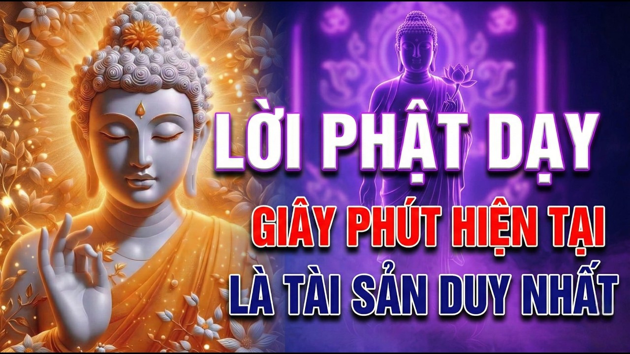 Lời phật dạy sống trọn vẹn hôm nay bởi hiện tại là điều duy nhất bạn thực sự nắm giữ. #loiphatday