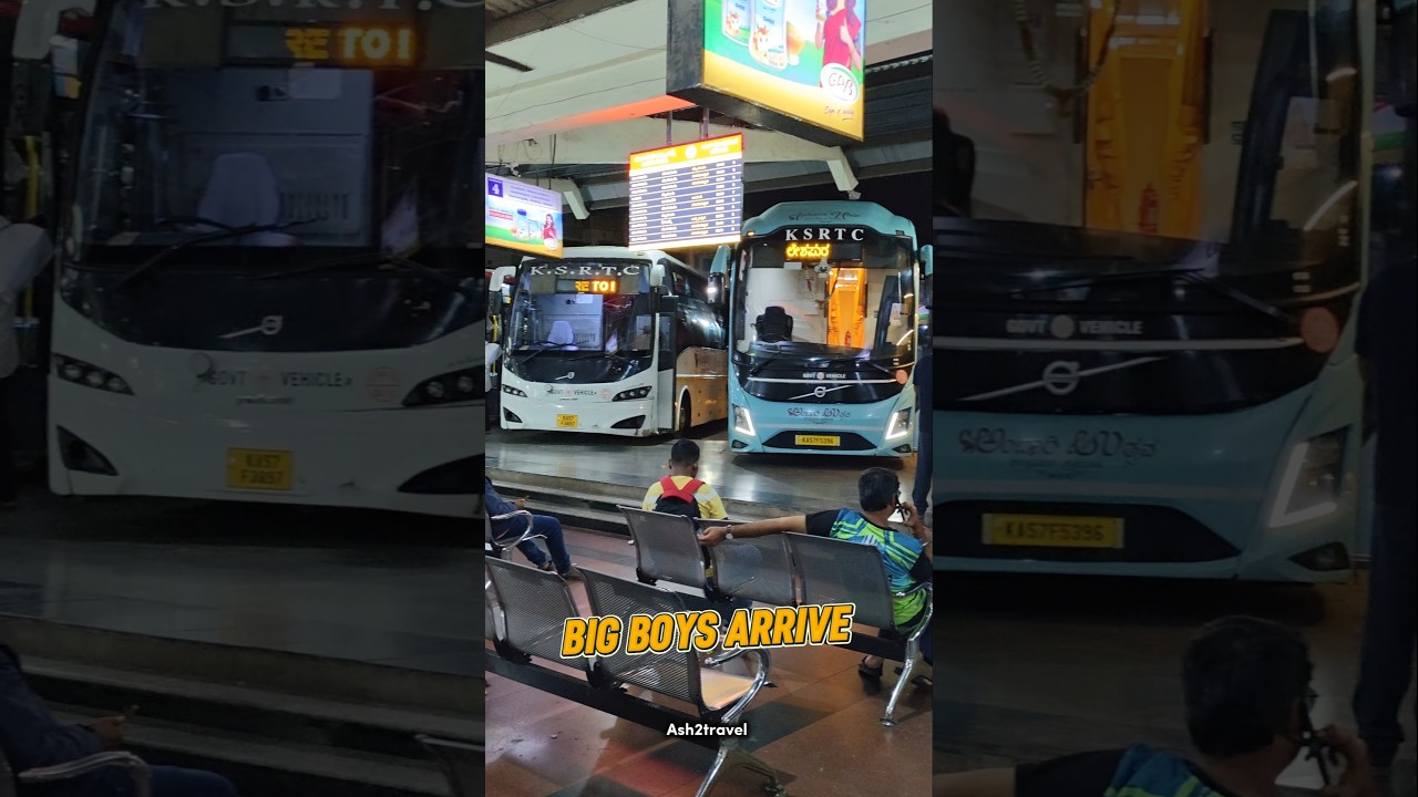 THE MULTI GANG 🔥 | KSRTC Volvos at Mangalore Bus stand #shorts