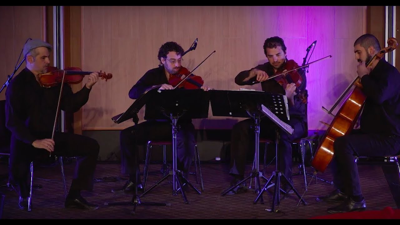 Alternative String Music | Papageorgio String Quartet | TEDxUniversityofNicosia