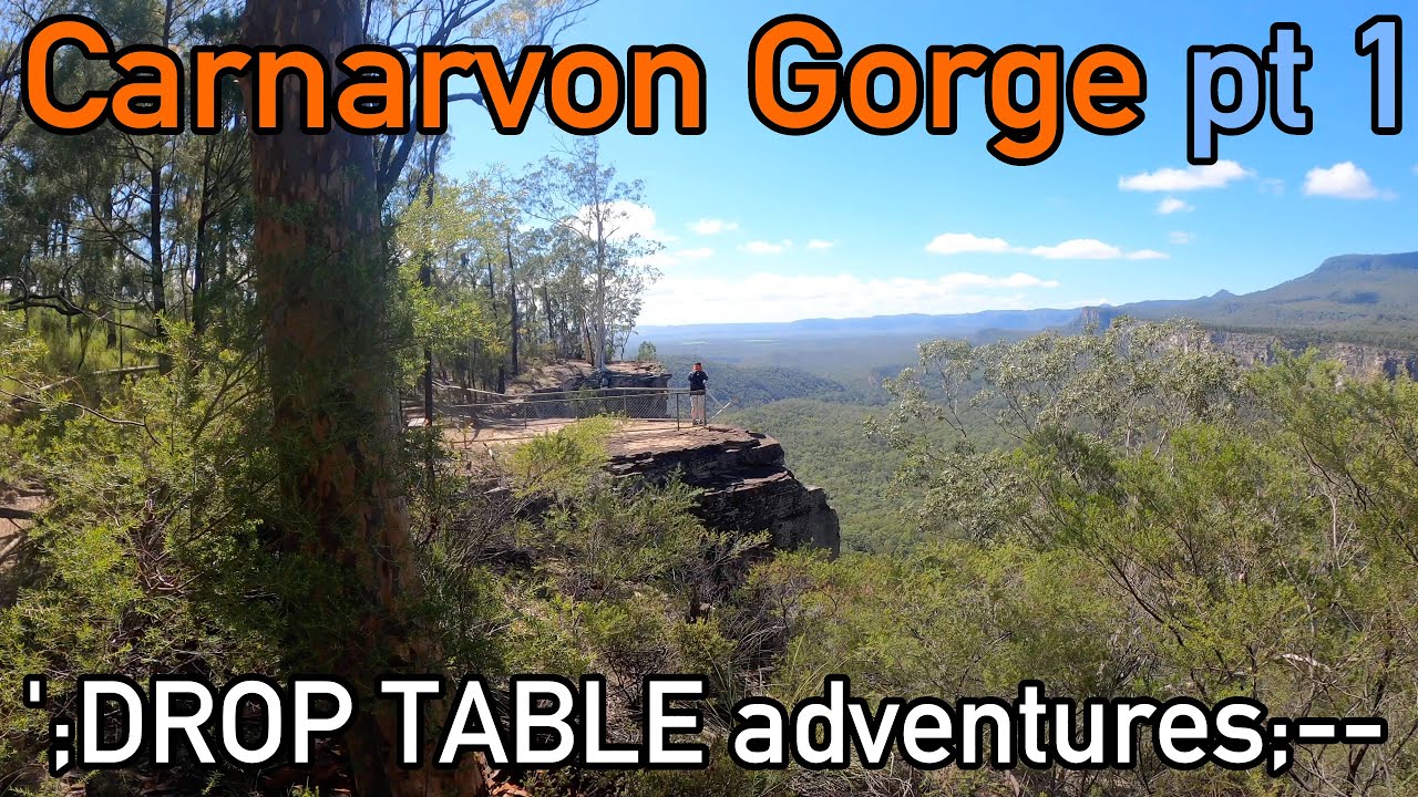 DTA Rev2.0 #15 - Carnarvon Gorge Part 1 - Boolimba Bluff, The Moss Garden, Takarakka Bush Camp