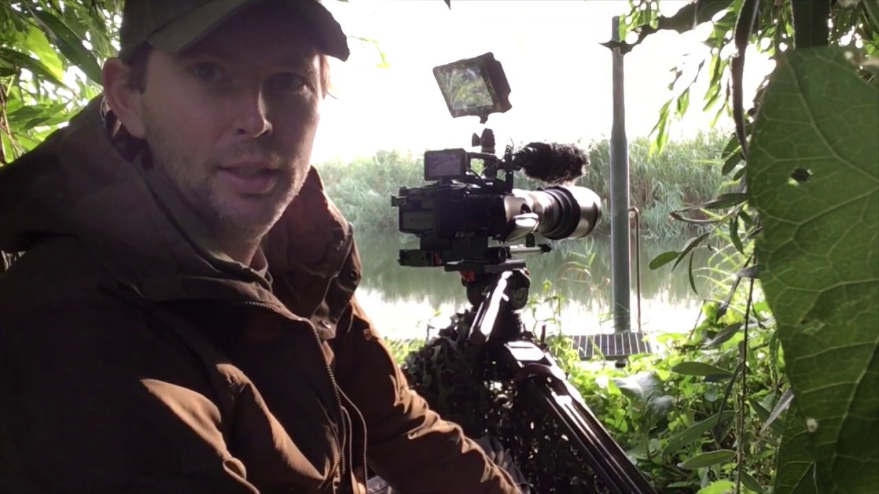 Bevers filmen in de Avelingen - Natuurfilm Alblasserwaard