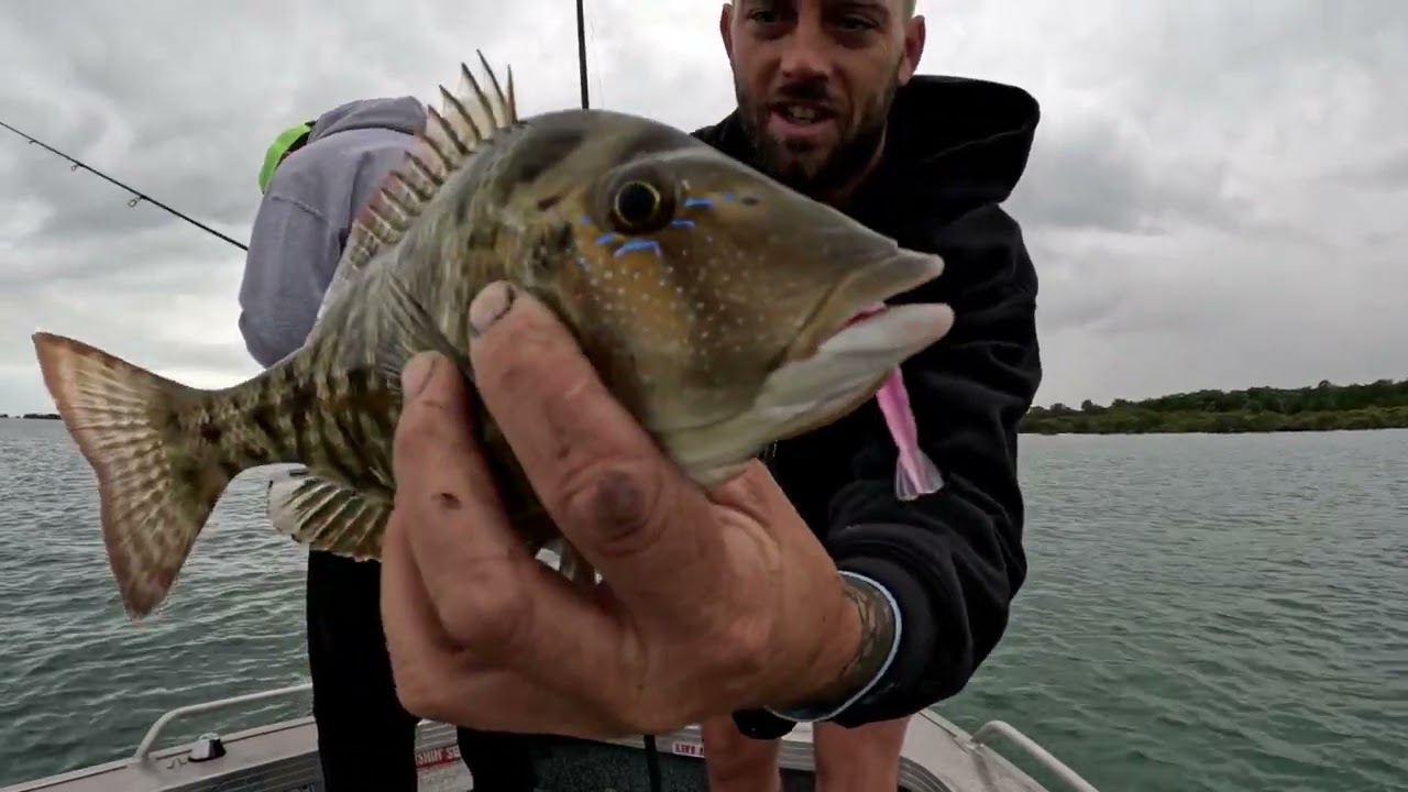 Moreton bay - Bust ups to Reef edges!