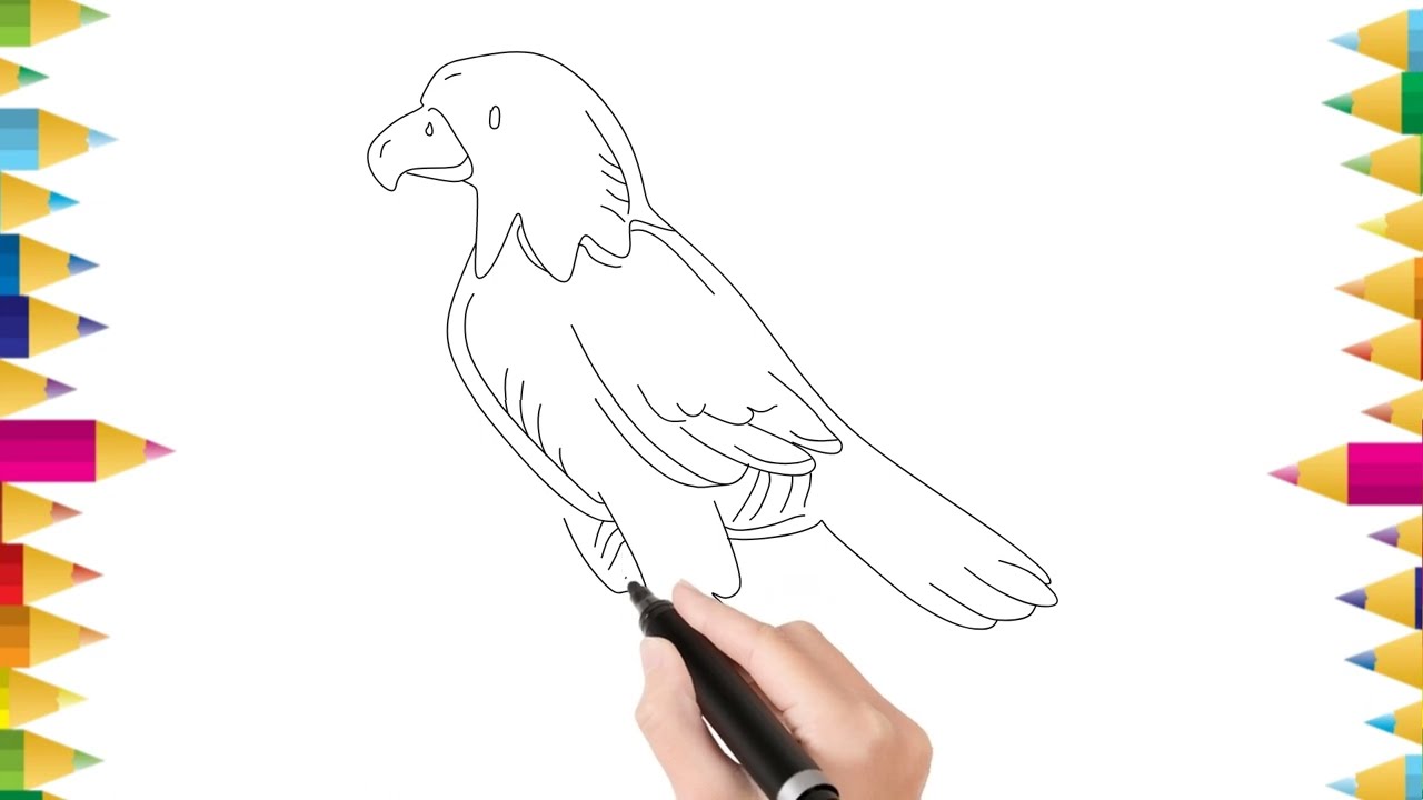 How to Draw Easy Eagle || Easy Drawing for Kids || Kids Drawing