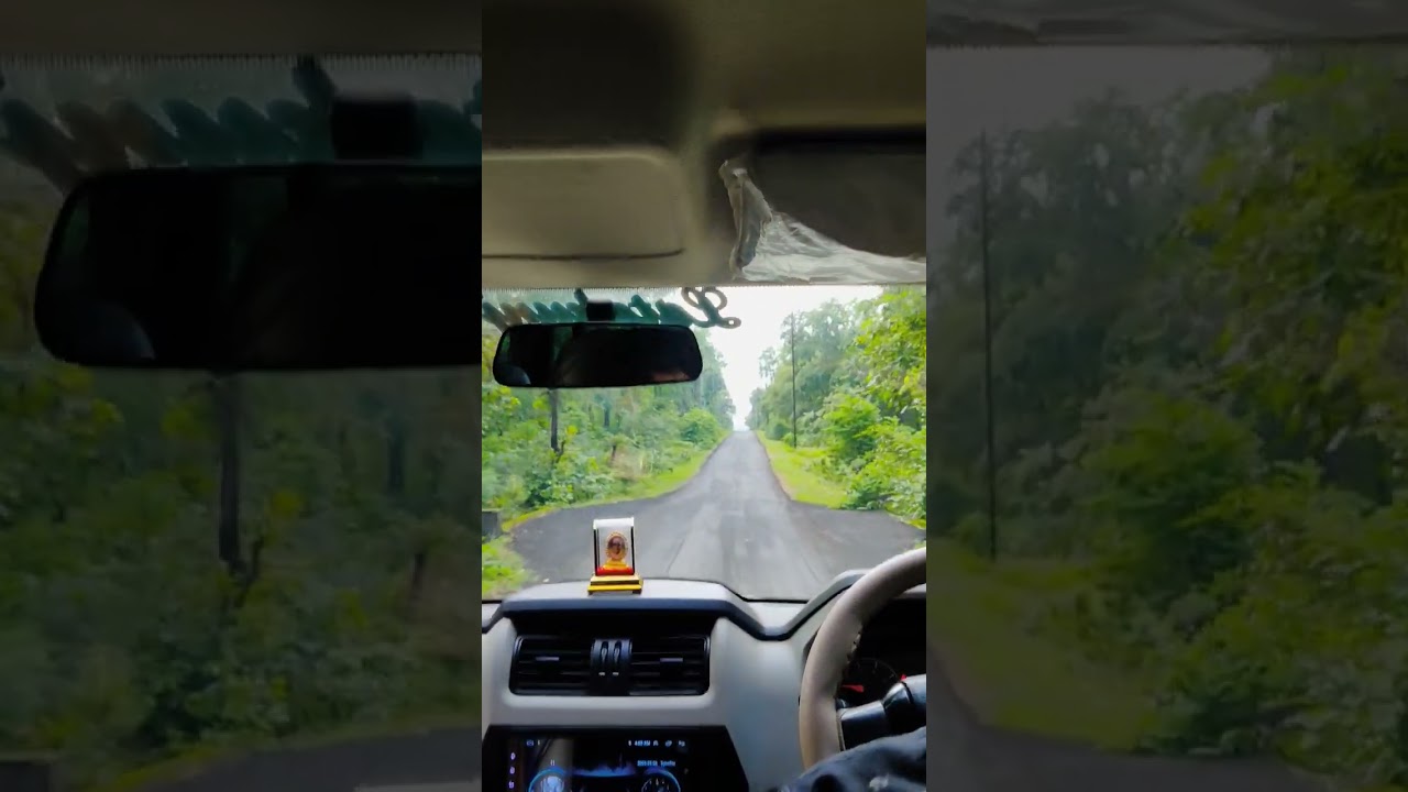 Nature Traveling Video 