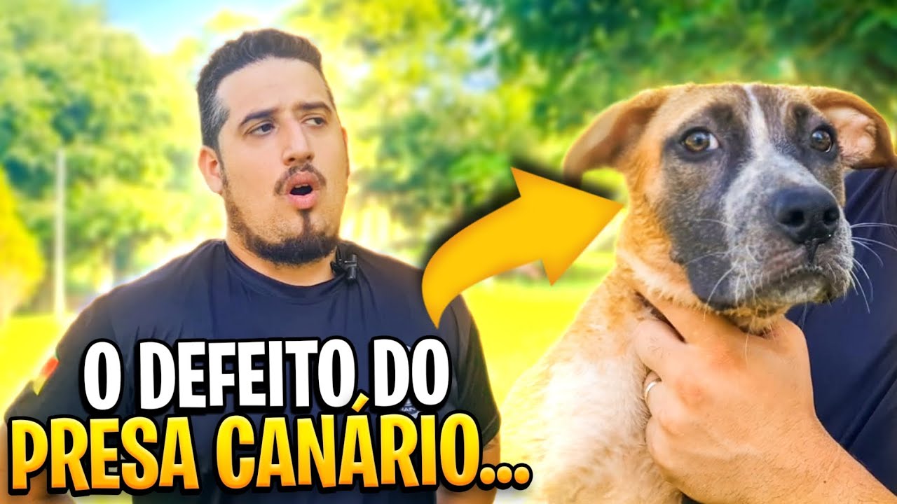 NÃO COMPRE UM PRESA SEM SABER DISSO!