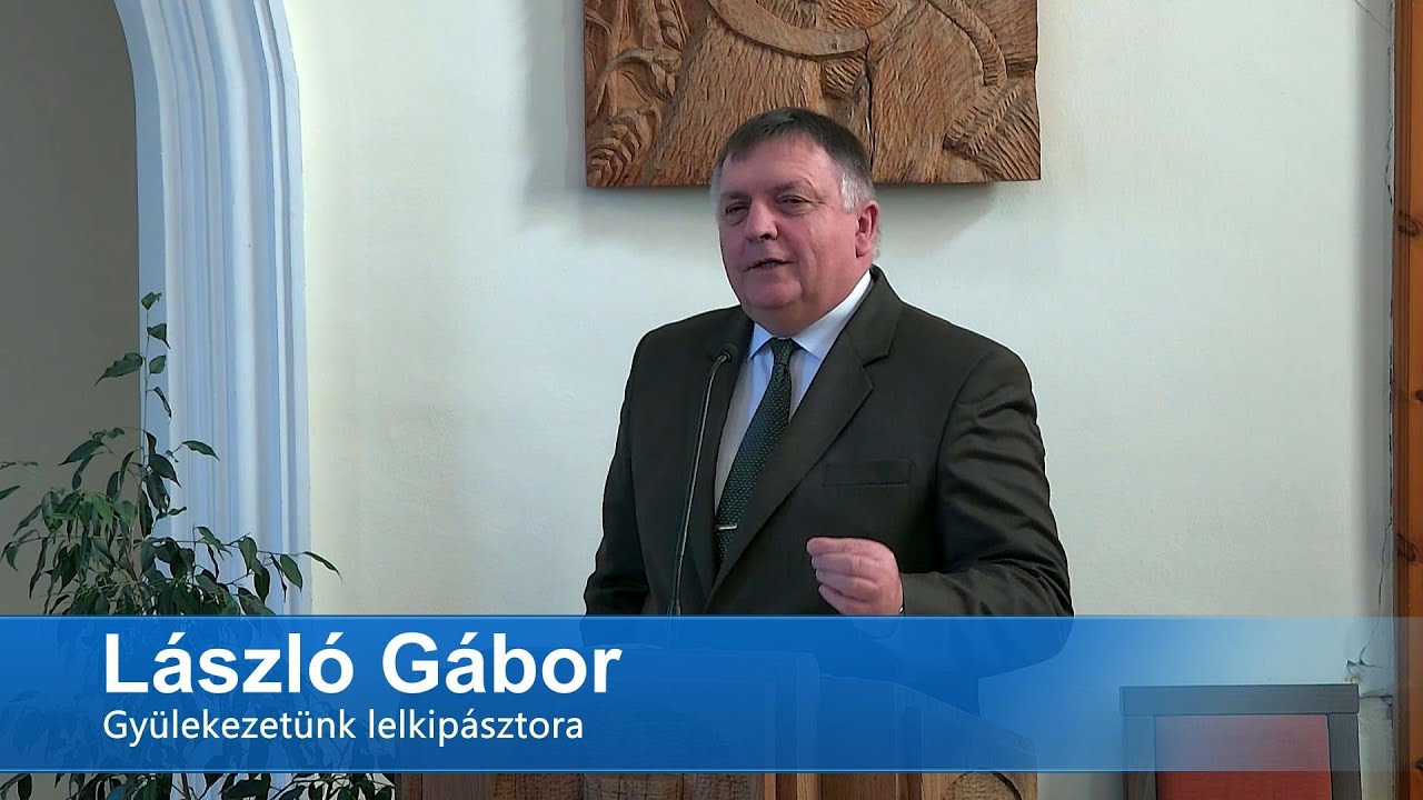RBGY 2026.02.08. délelőtt