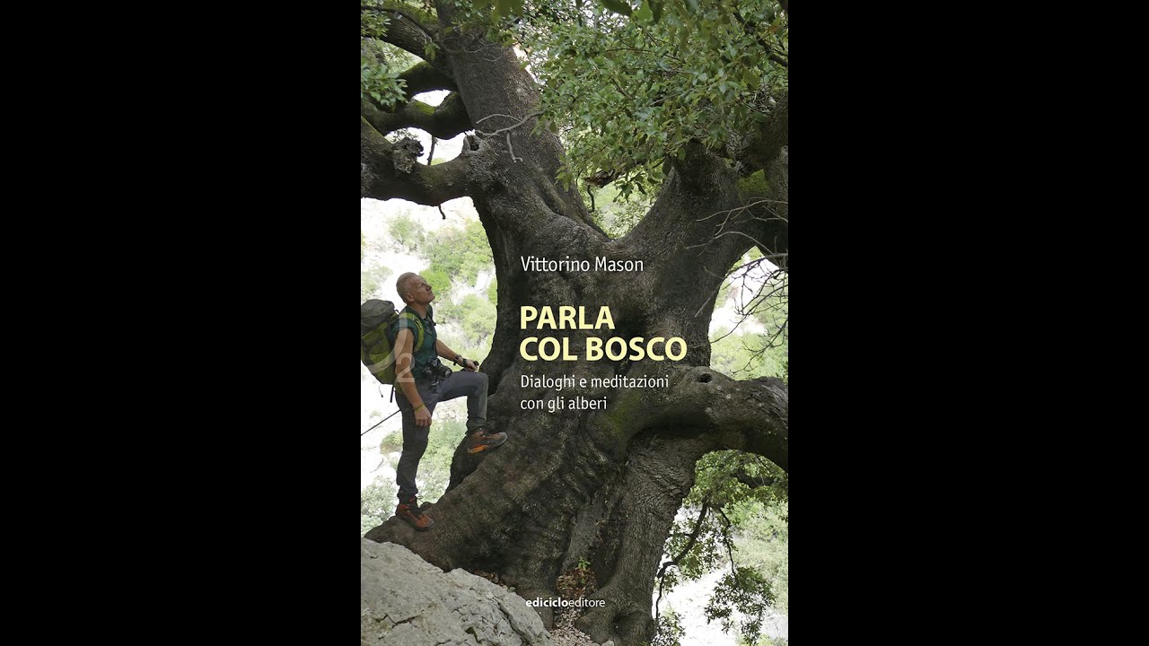 Parla col bosco di Vittorino Mason