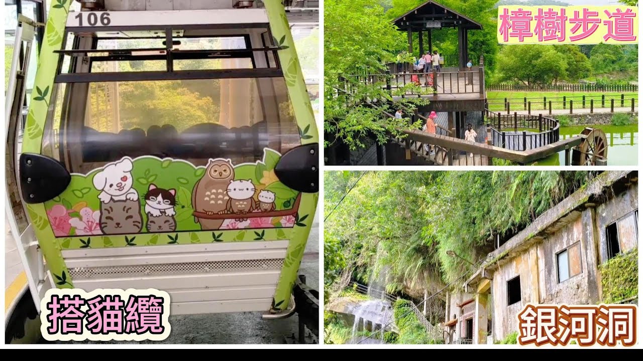 貓纜~樟樹步道~銀河洞~樟湖步道~指南宮  貓空到銀河洞