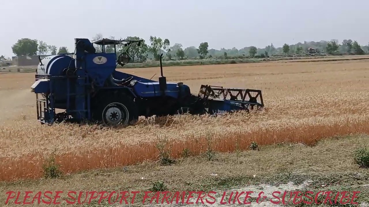 Harvesting with sonalika and swaraj #trending #automobile #vlog #youtube #trend #travel #tractor