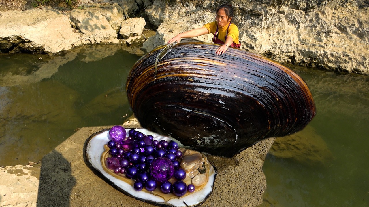 There are so many pearls in a river clam, it's a big one today