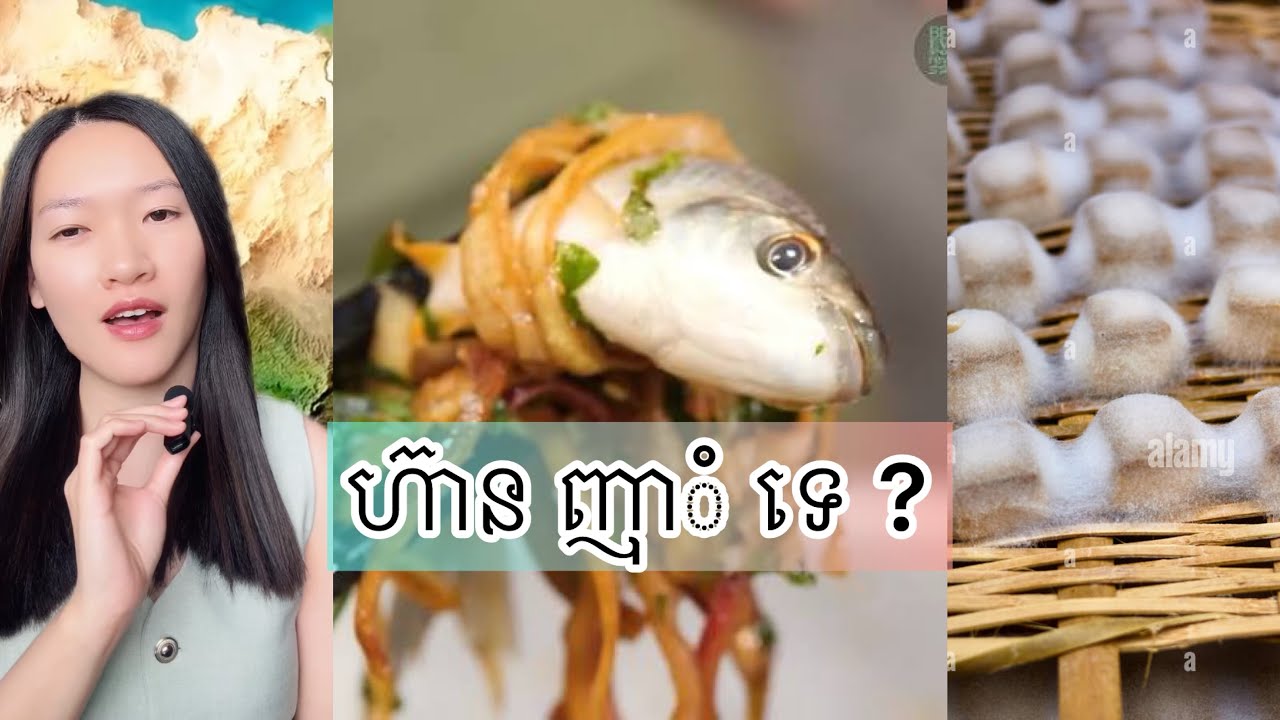 ហ៊ាន ញាុំ ទេ ? - Weird food around the world 