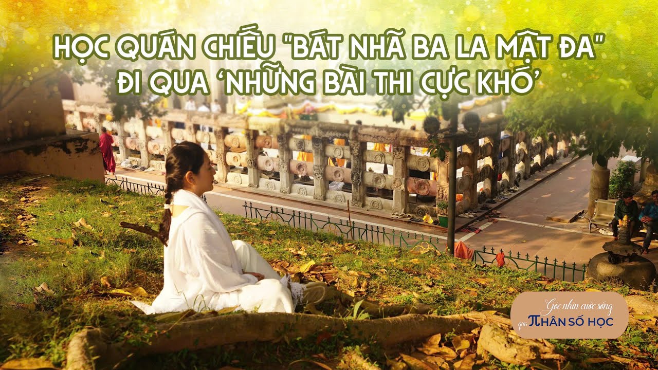 HỌC QUÁN CHIẾU 