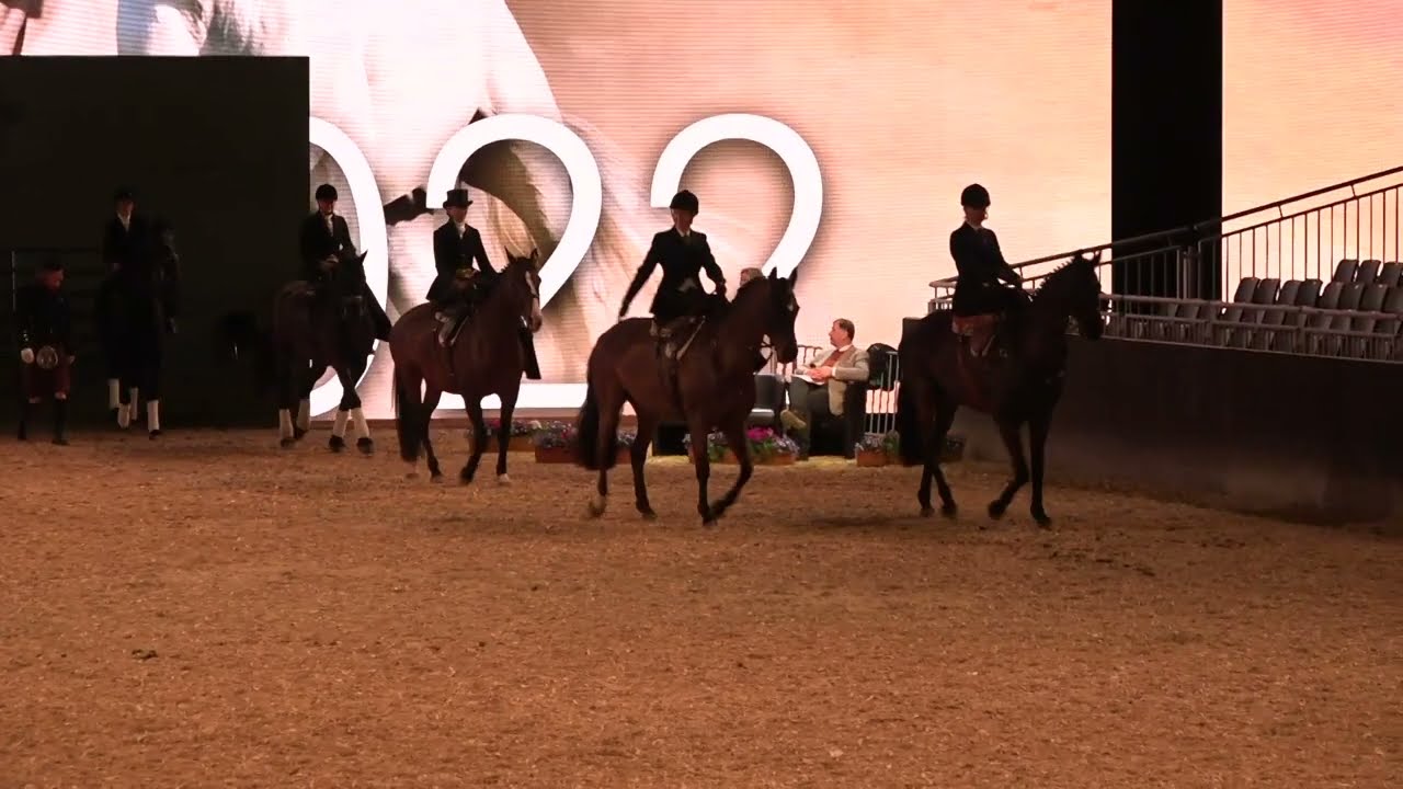 Reiten im Damensattel auf der Equitana 07.04.22