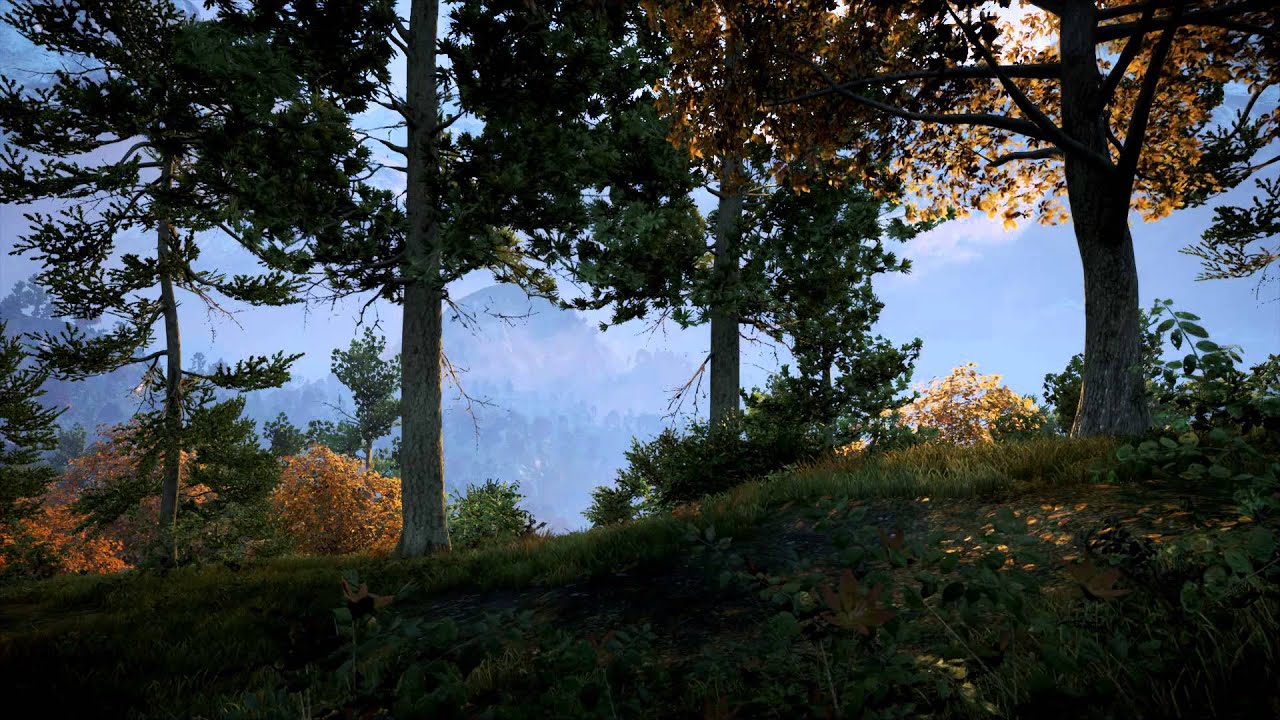 Far Cry 4: Ambience &ndash; Hidden Behind Leaves (White Noise, Relaxation, ASMR)