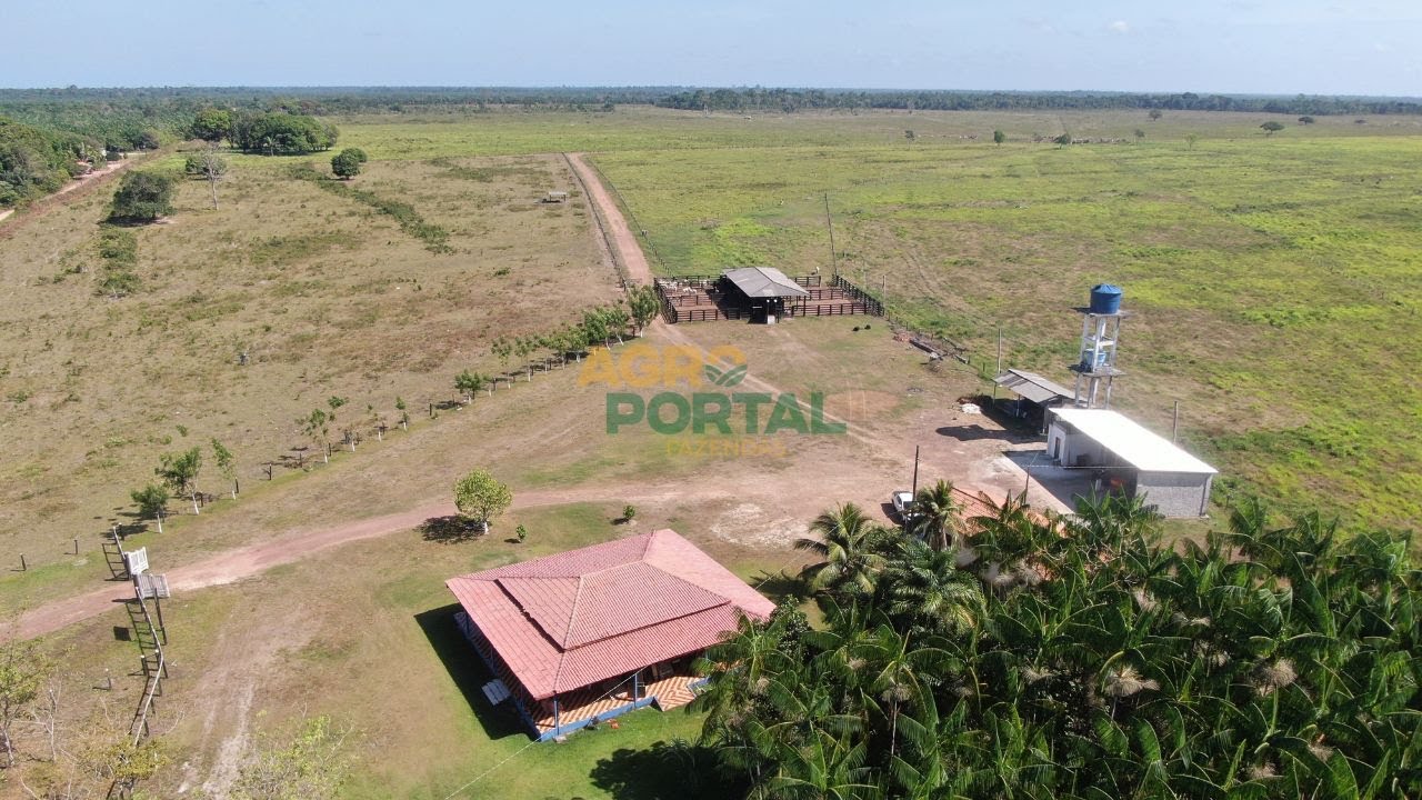 Fazenda à venda no Pará - 259 ha (53 alq) - Dupla Aptidão -  Região de Tomé Açu