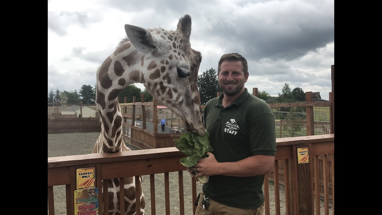 Animal Adventures with Jordan: Reticulated Giraffe