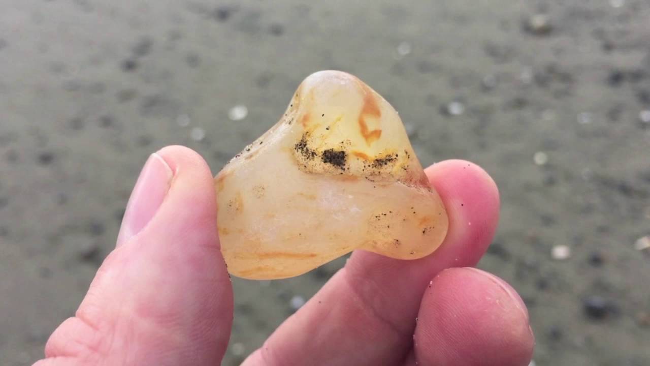 Agate Hunting and Identification at Ocean Shores, WA