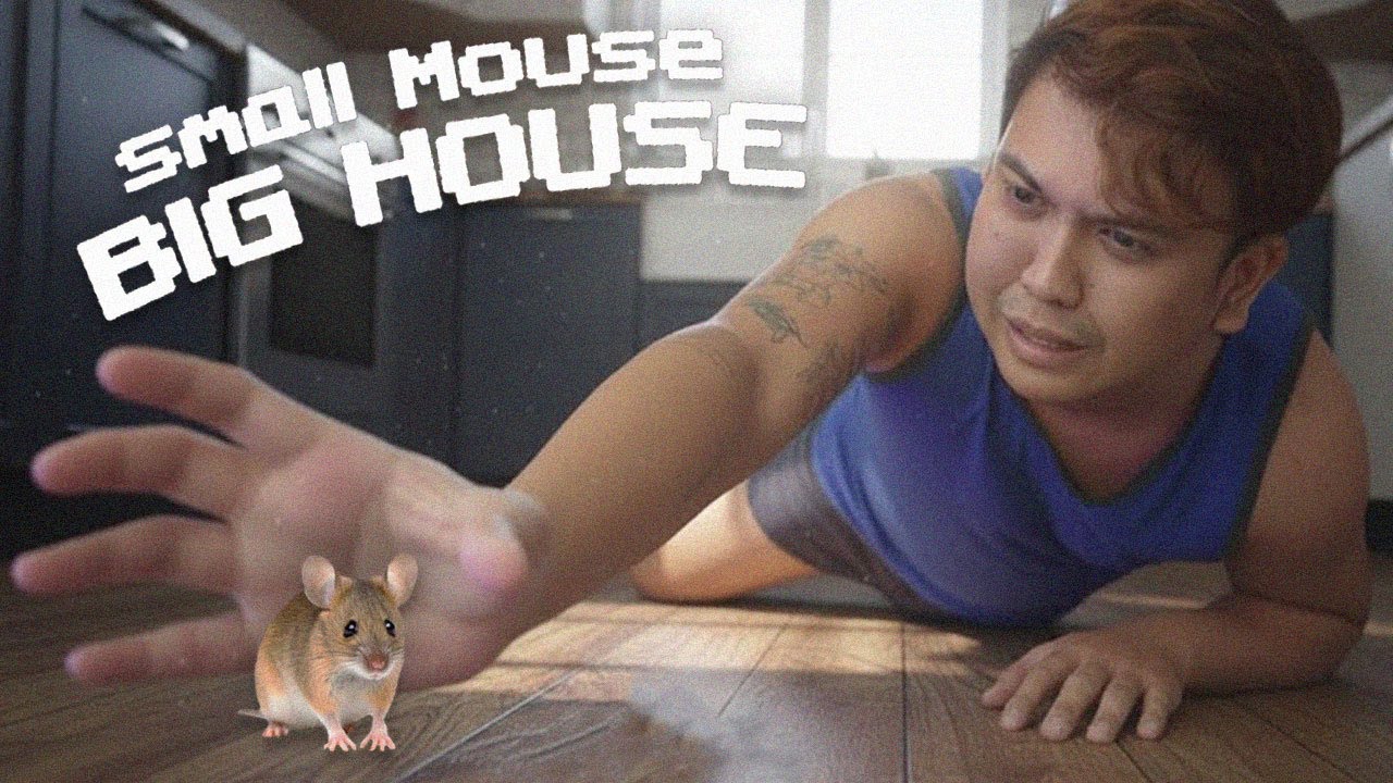 No One Can Catch Me! | Small Mouse Big House