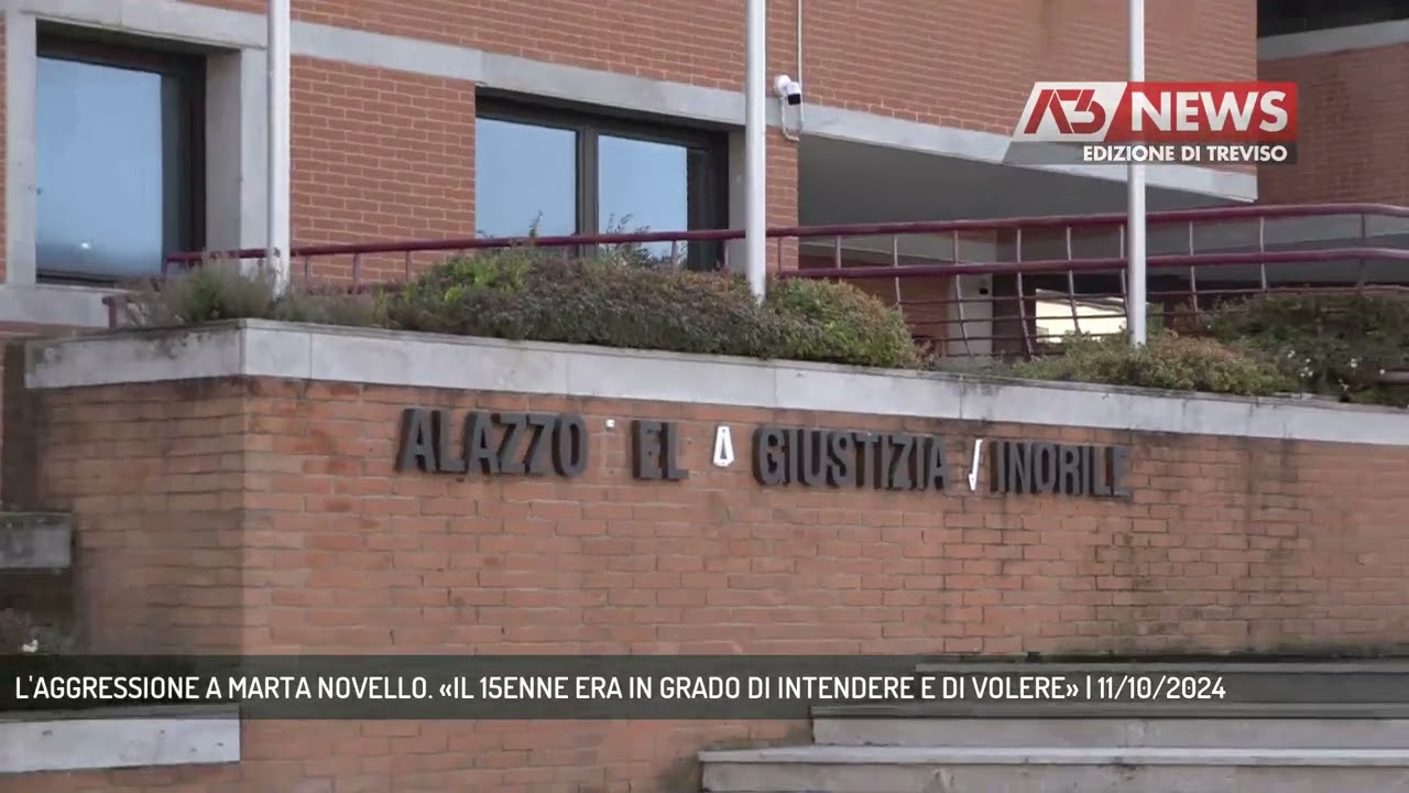 L'AGGRESSIONE A MARTA NOVELLO. &laquo;IL 15ENNE ERA IN GRADO DI INTENDERE E DI VOLERE&raquo; | 11/10/2024